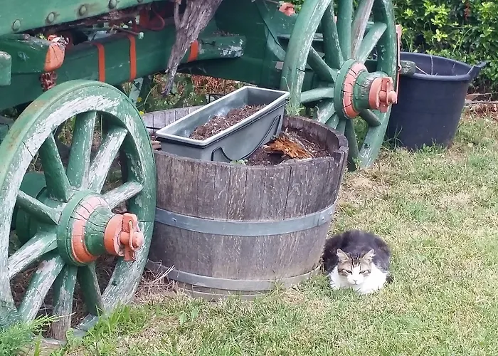 Bricco San Giovanni 3* Asti